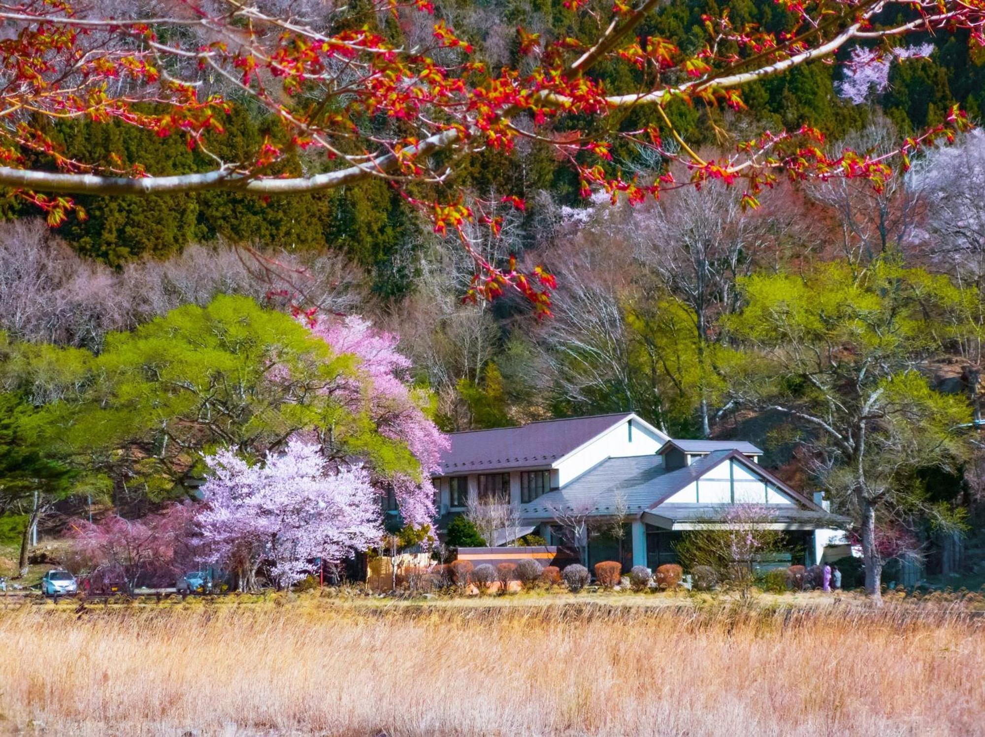 Akasawa Onsen Ryokan Насусиобара Экстерьер фото